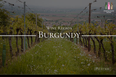 【Wine Knowledge】Learn More About Burgundy
