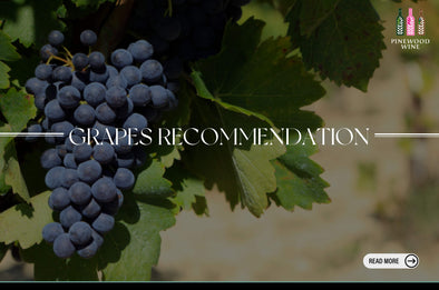 【Wine Sharing】Grapes And Wine Recommendation