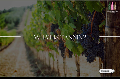 【Wine Sharing】What is tannin?