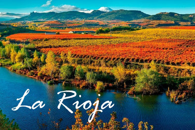Pinewood Wine : Travel La Rioja
