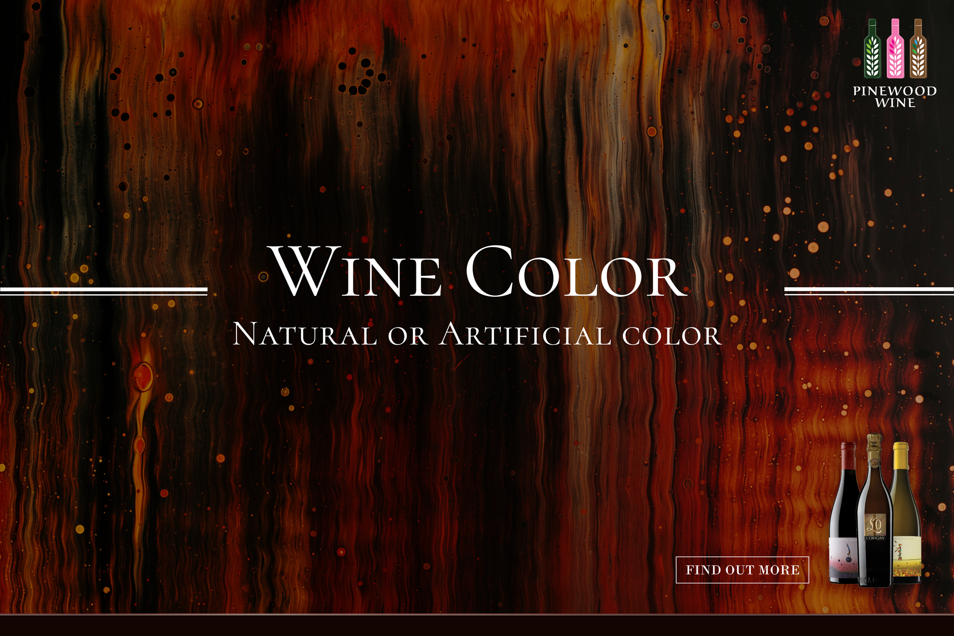 【Wine Knowledge】 Wine Color