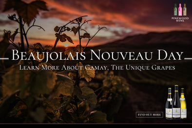 【Wine Sharing】Beaujolais Nouveau Day