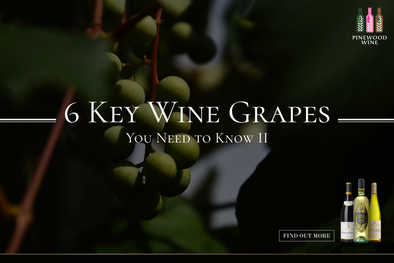 【Wine Knowledge】 6 Key Wine Grapes II