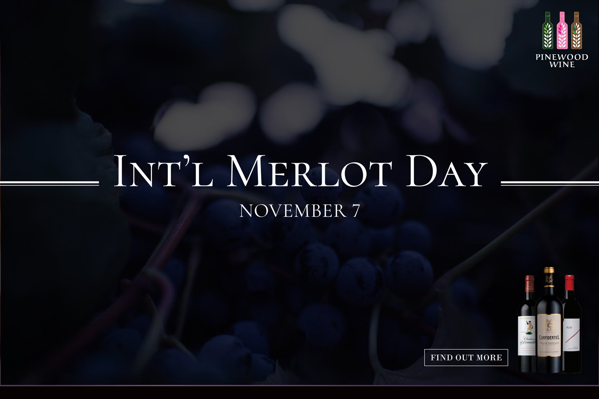 【Wine Sharing】International Merlot Day