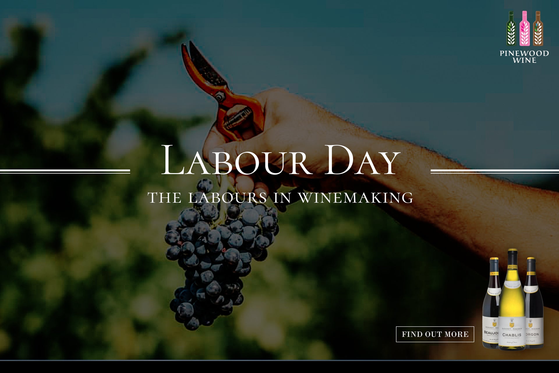 【Wine Knowledge】The Labours in Winemaking