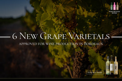 【Wine Knowledge】6 New Grape Varietals