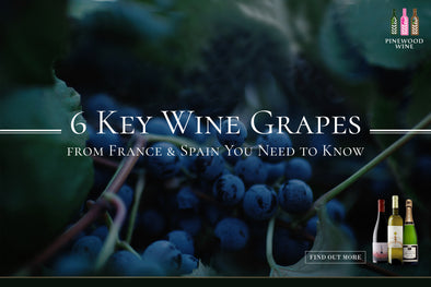 【Wine Knowledge】 6 Key Wine Grapes I