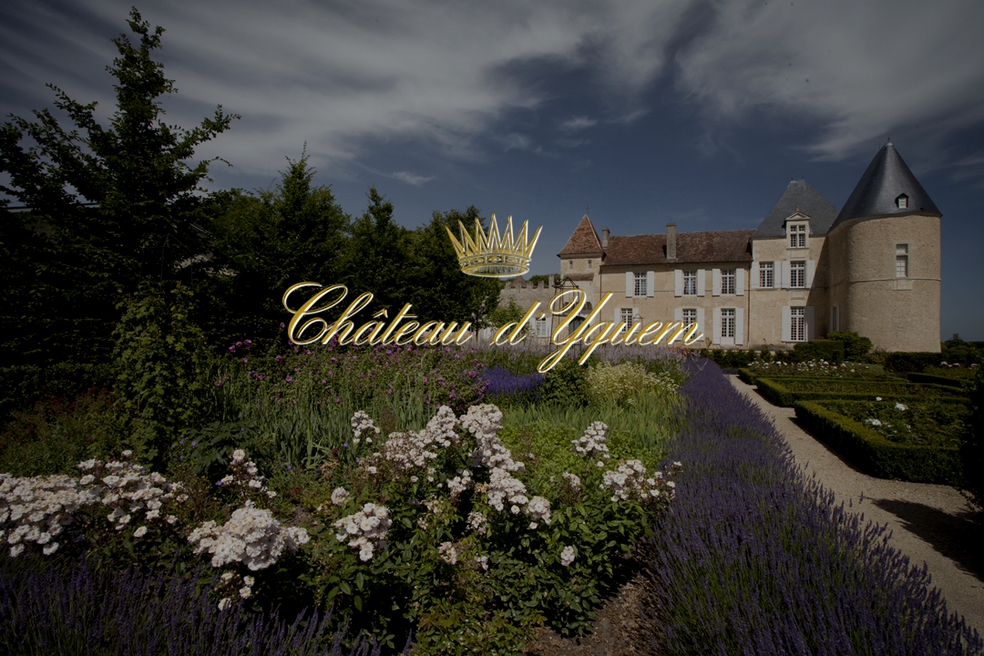 【Feature】Château d’Yquem