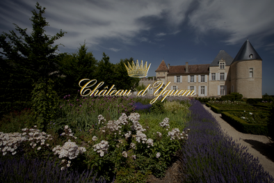 【Feature】Château d’Yquem