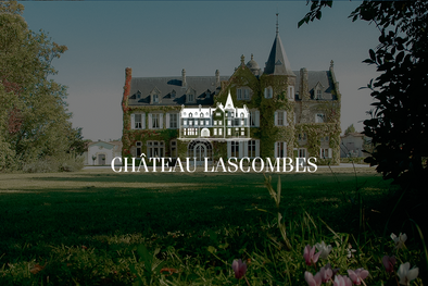 【Feature】Château Lascombes