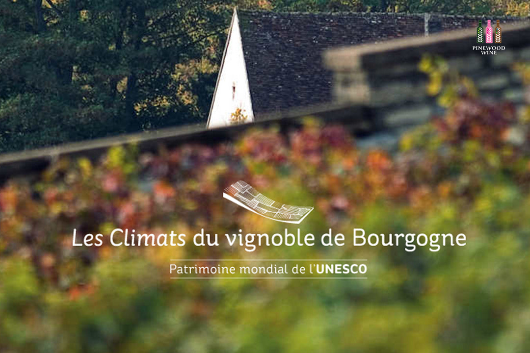 【專題】選擇適合自己的勃艮地酒