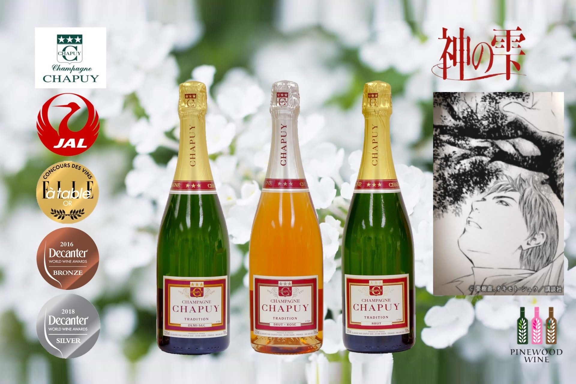 Pinewood Wine : Chapuy Champagne Brut Demi-sec Rose JAL first class