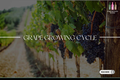 【Wine Sharing】Grape Growing Cycle