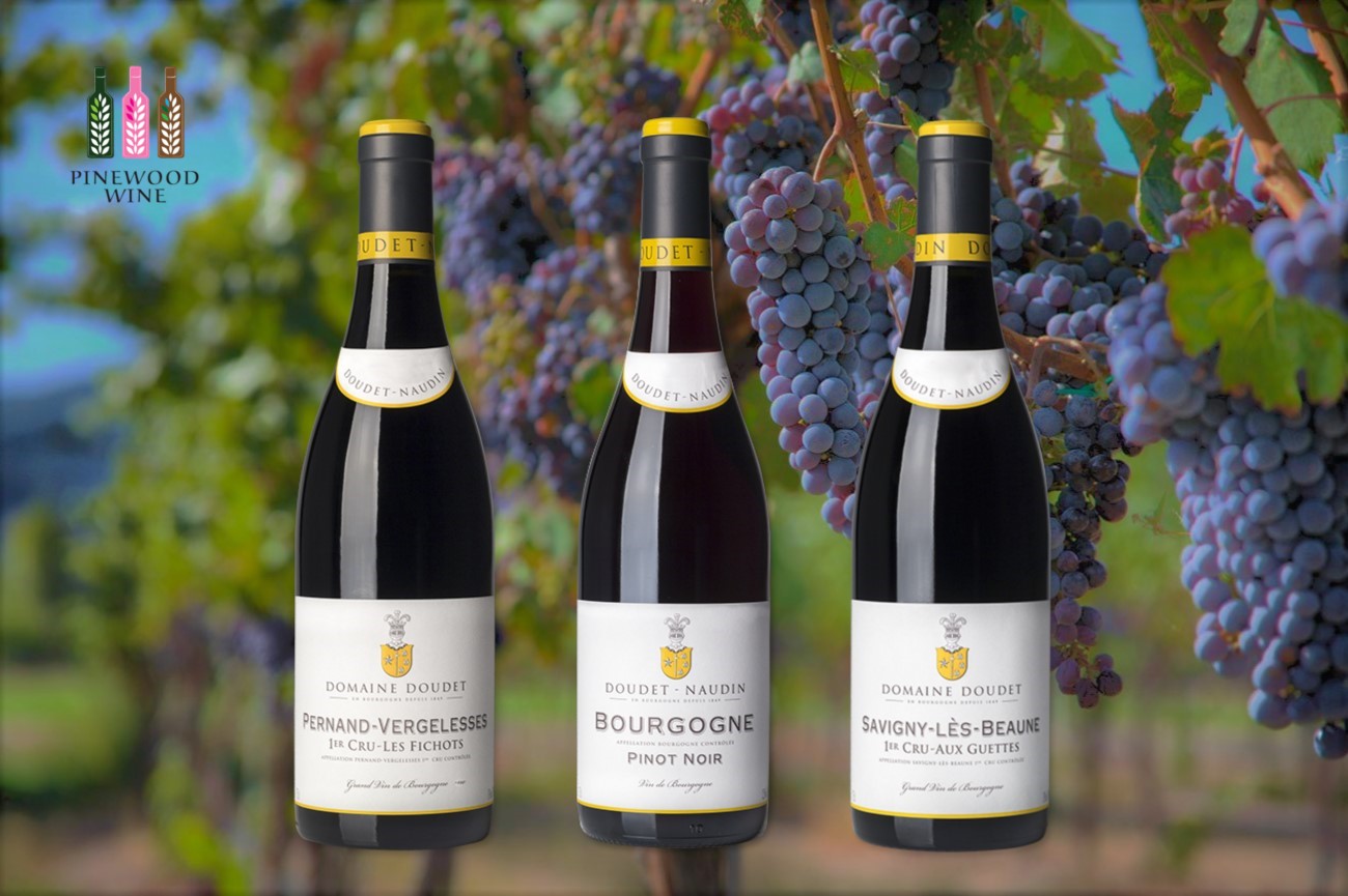 Pinewood Wine: Doudet Naudin 紅酒 Pinot Noir