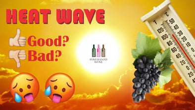 Pinewood Wine : Heat wave weather and wine 天氣與葡萄