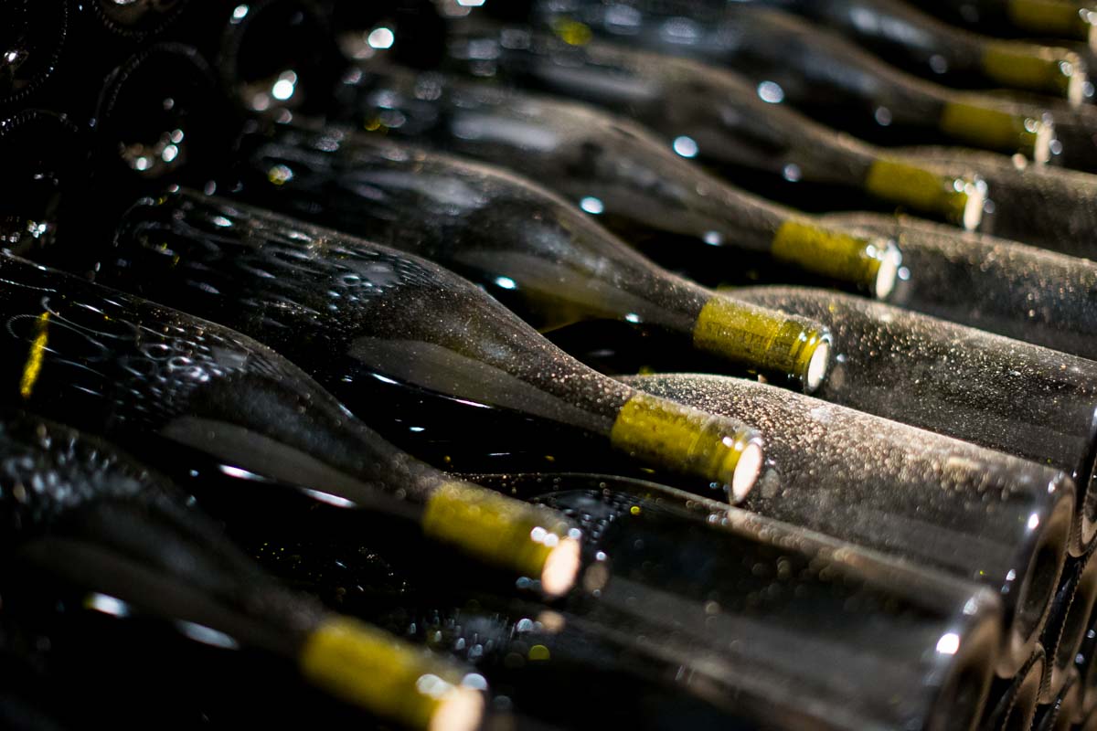 Doudet Naudin | Pinewood Wine's Exclusive Brand