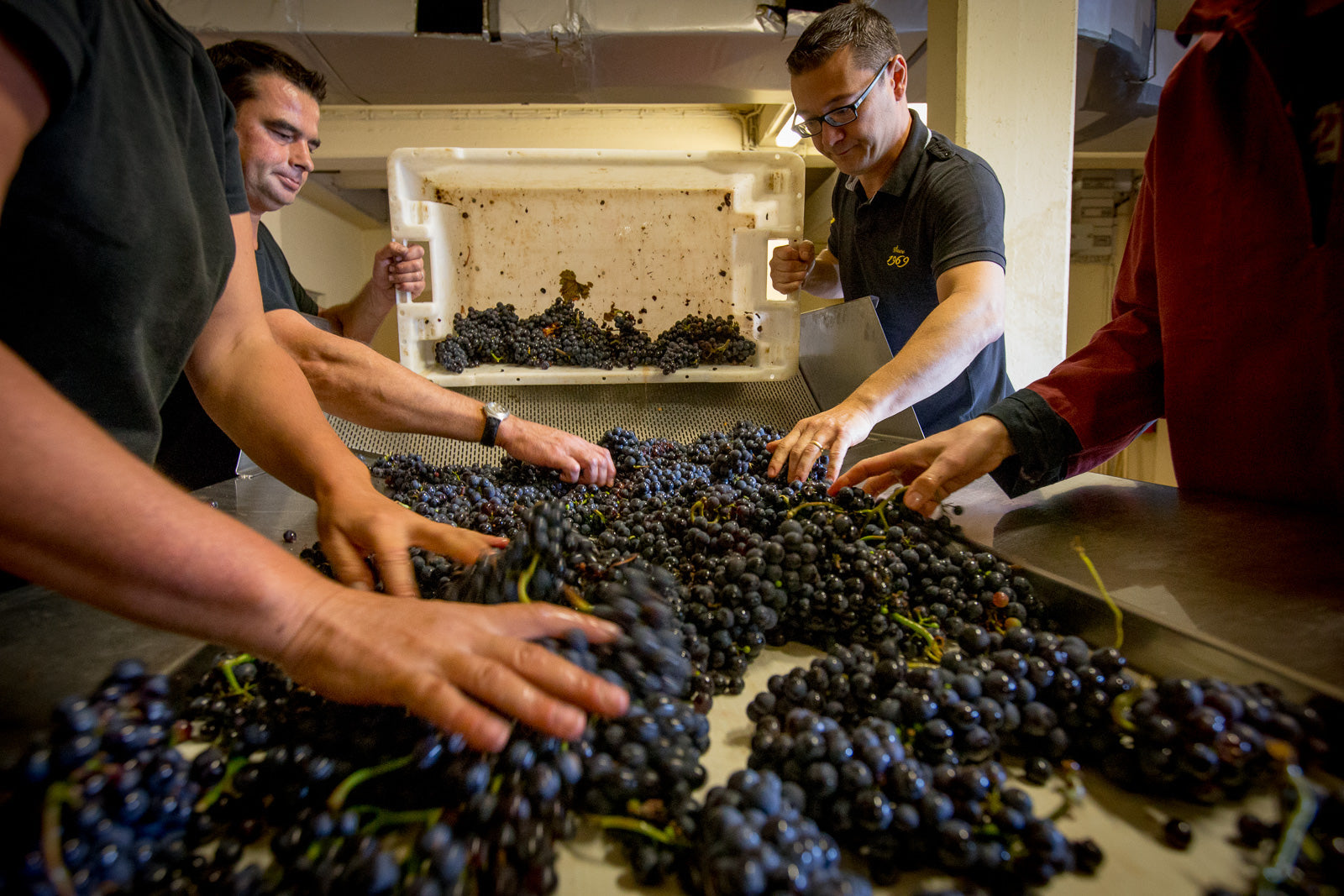 Doudet Naudin | Pinewood Wine's Exclusive Brand