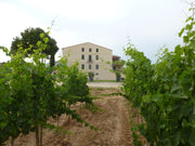 CA N'ESTRUC Negre 2018 750ml - Pinewood Wine