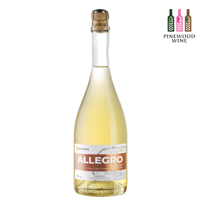 Melchiori Allegro Extra Dry Apple Cider alc. 8%, 750ml